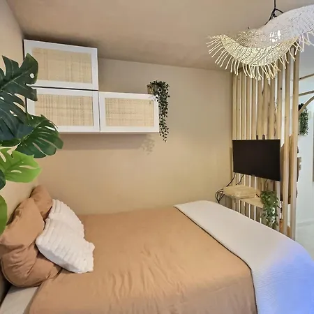 Le Surfeur Appartement